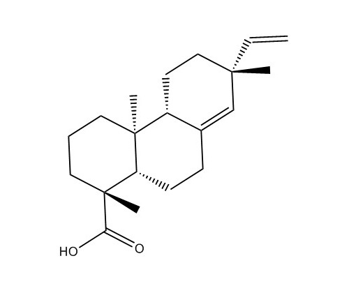 長白楤木酸|19889-23-7